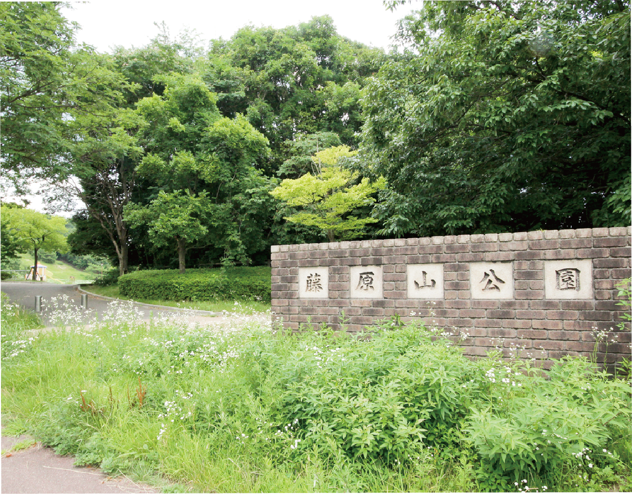 藤原山公園
