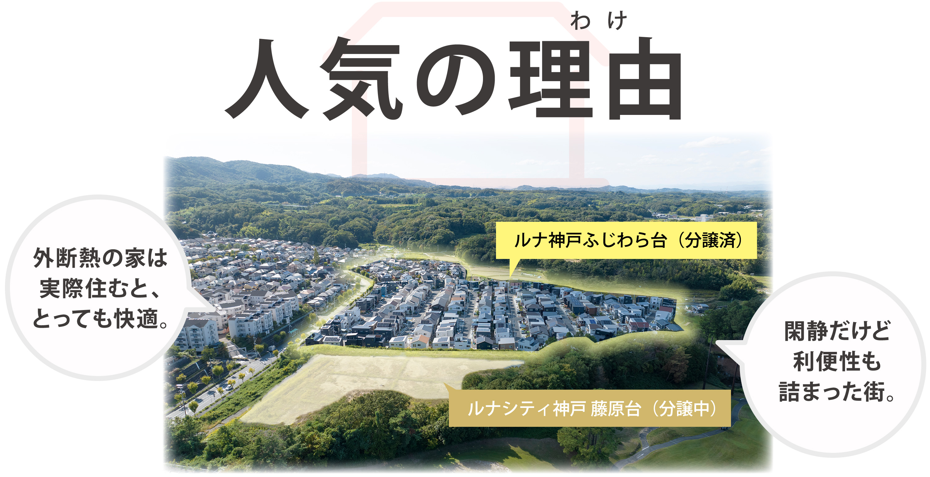 人気の理由
