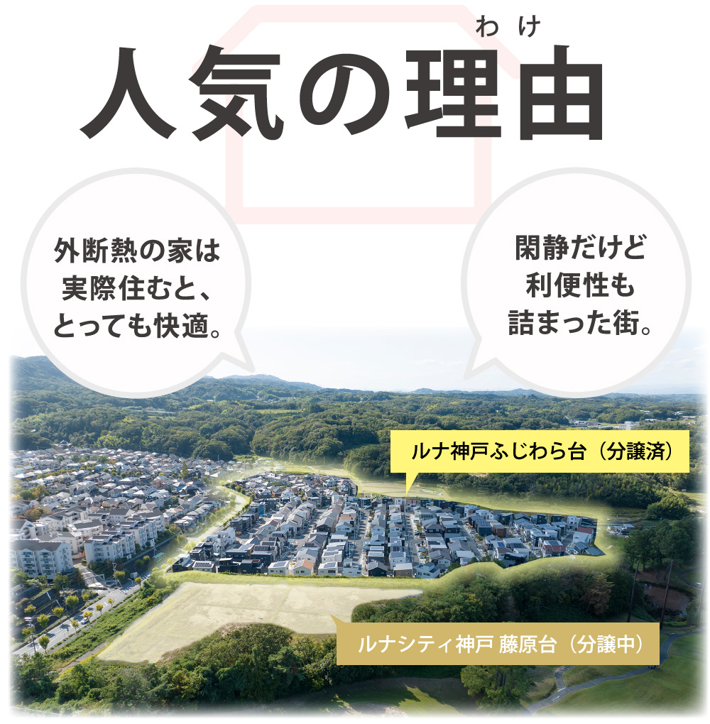 人気の理由