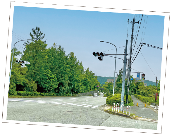 駅まで自転車7分